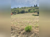 Ma-Cabane - Vente Terrain LIMOUX, 700 m²