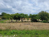 Ma-Cabane - Vente Terrain LINARS, 830 m²