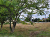 Ma-Cabane - Vente Terrain LINARS, 830 m²