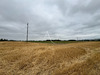 Ma-Cabane - Vente Terrain LISLE-SUR-TARN, 40000 m²