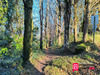 Ma-Cabane - Vente Terrain LOCRONAN, 1160 m²