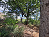 Ma-Cabane - Vente Terrain Lodeve, 5370 m²
