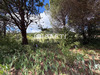 Ma-Cabane - Vente Terrain Lodeve, 5370 m²