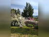 Ma-Cabane - Vente Terrain Lodeve, 5370 m²