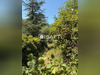 Ma-Cabane - Vente Terrain Lodeve, 6020 m²