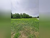 Ma-Cabane - Vente Terrain Loisy-sur-Marne, 4804 m²