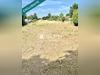 Ma-Cabane - Vente Terrain Lorges, 3616 m²