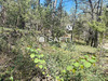 Ma-Cabane - Vente Terrain Lorgues, 1123 m²