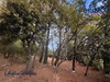 Ma-Cabane - Vente Terrain Lorgues, 2105 m²