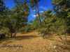 Ma-Cabane - Vente Terrain Lorgues, 2105 m²