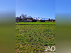 Ma-Cabane - Vente Terrain Luc, 2000 m²