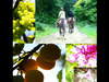 Ma-Cabane - Vente Terrain LUCEY, 1433 m²