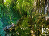 Ma-Cabane - Vente Terrain Lucey, 1514 m²