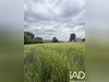 Ma-Cabane - Vente Terrain Lumbres, 3367 m²