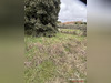 Ma-Cabane - Vente Terrain Lunel, 360 m²