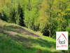 Ma-Cabane - Vente Terrain Lutzelbourg, 1680 m²