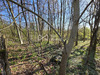 Ma-Cabane - Vente Terrain Luzy-Saint-Martin, 810 m²
