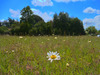 Ma-Cabane - Vente Terrain Maisdon-sur-Sèvre, 4358 m²