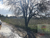 Ma-Cabane - Vente Terrain MANDUEL, 2657 m²