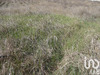 Ma-Cabane - Vente Terrain Manosque, 2300 m²
