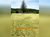 Ma-Cabane - Vente Terrain MARCILLAC SAINT QUENTIN, 1200 m²