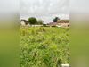 Ma-Cabane - Vente Terrain Marcilly-sur-Eure, 775 m²