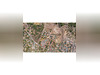 Ma-Cabane - Vente Terrain Marcorignan, 634 m²