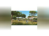 Ma-Cabane - Vente Terrain Marcorignan, 471 m²