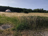 Ma-Cabane - Vente Terrain Mareuil-sur-Cher, 2179 m²