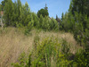 Ma-Cabane - Vente Terrain MARSEILLETTE, 1430 m²