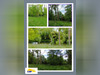 Ma-Cabane - Vente Terrain MARTIZAY, 1539 m²