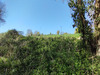 Ma-Cabane - Vente Terrain MARTIZAY, 5297 m²
