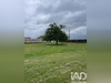 Ma-Cabane - Vente Terrain Martres, 887 m²