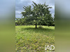Ma-Cabane - Vente Terrain Martres, 887 m²