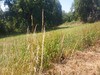 Ma-Cabane - Vente Terrain MASCLAT, 819 m²