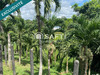 Ma-Cabane - Vente Terrain Matoury, 4633 m²