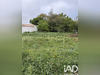 Ma-Cabane - Vente Terrain Mauges-sur-Loire, 471 m²