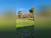 Ma-Cabane - Vente Terrain Mauguio, 741 m²