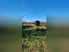 Ma-Cabane - Vente Terrain Mauguio, 741 m²