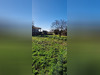 Ma-Cabane - Vente Terrain Mauguio, 741 m²
