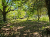 Ma-Cabane - Vente Terrain MAULE, 750 m²