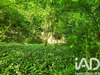 Ma-Cabane - Vente Terrain Maule, 1046 m²