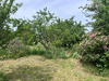 Ma-Cabane - Vente Terrain MAULE, 300 m²