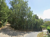Ma-Cabane - Vente Terrain Maureillas-Las-Illas, 660 m²