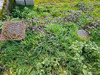 Ma-Cabane - Vente Terrain MAURS, 844 m²