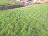 Ma-Cabane - Vente Terrain MAURS, 1501 m²