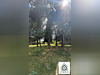 Ma-Cabane - Vente Terrain Mazaye, 2366 m²