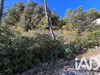 Ma-Cabane - Vente Terrain Méounes-Lès-Montrieux, 7911 m²