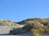 Ma-Cabane - Vente Terrain Merlimont, 691 m²