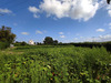 Ma-Cabane - Vente Terrain MERVILLE-FRANCEVILLE-PLAGE, 1200 m²